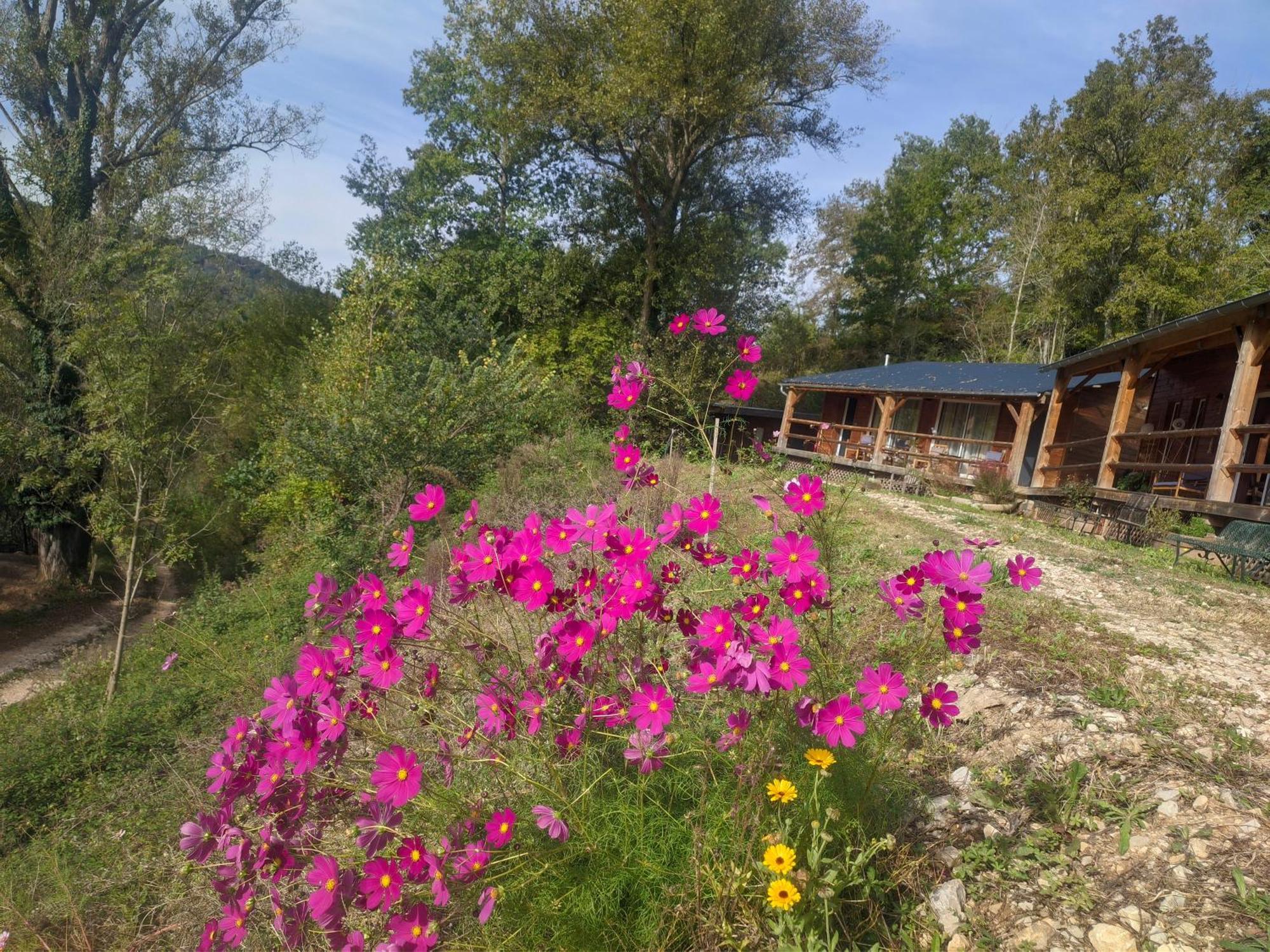 Source Nature Mas-d'Azil Zimmer foto